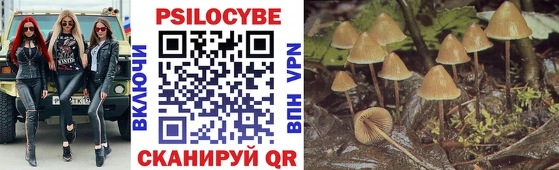 Псилоцибиновые грибы Magic Shrooms цена Бутурлиновка