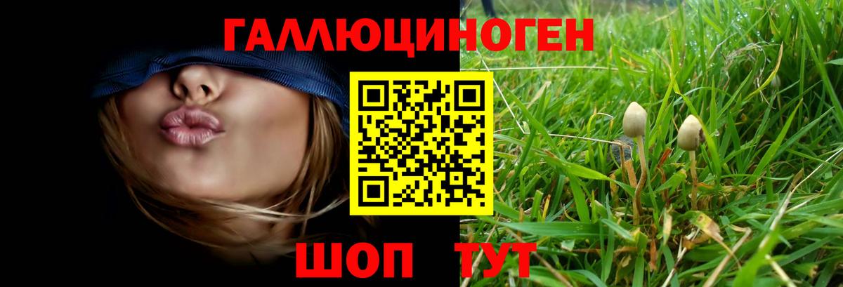 Бутурлиновка  Галлюциногенные грибы Psilocybe  Вход с VPN 